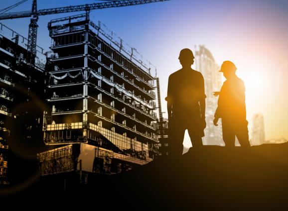 litige construction